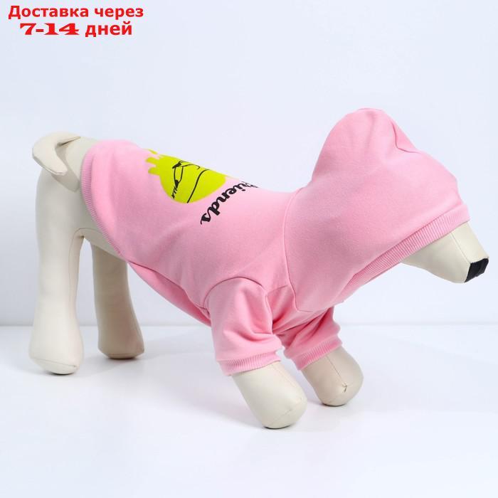 Толстовка для собак(футер петля двунитка) XS Розовый - фото 3 - id-p227025750