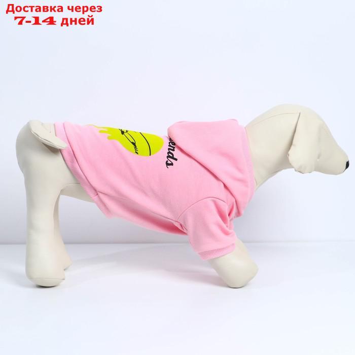 Толстовка для собак(футер петля двунитка) XS Розовый - фото 4 - id-p227025750