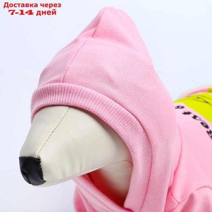 Толстовка для собак(футер петля двунитка) XS Розовый - фото 7 - id-p227025750