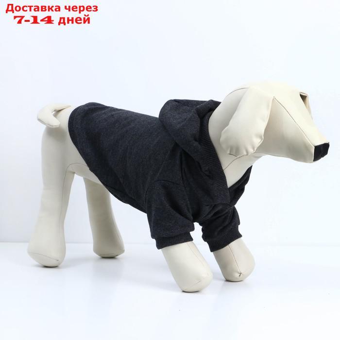 Толстовка для собак(футер петля двунитка) XS Серый - фото 3 - id-p227025756
