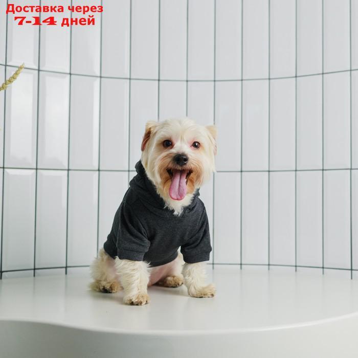 Толстовка для собак(футер петля двунитка) XS Серый - фото 6 - id-p227025756