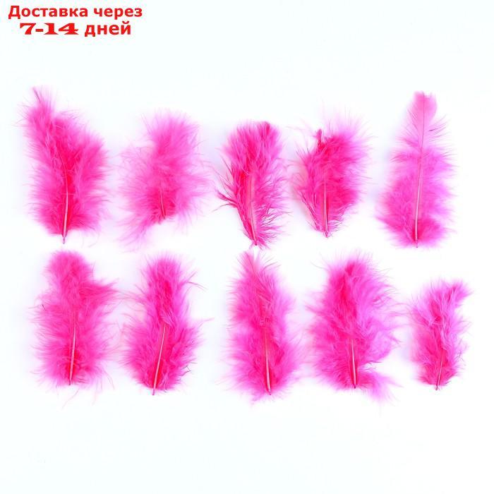 Набор перьев для декора 10 шт, размер 1 шт 10*2 цвет светло-розовый - фото 1 - id-p226990638