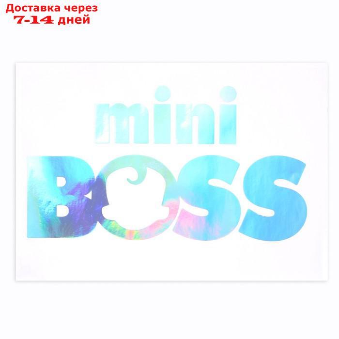 Полимерные наклейки на шары "Mini Boss", серебро - фото 2 - id-p227006200