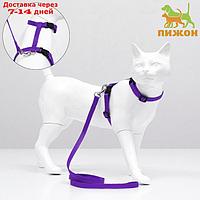 Комплект для кошек, ширина 1 см, ОШ 16,5-27 см, ОГ 21-35 см, поводок 120 см, фиолетовый