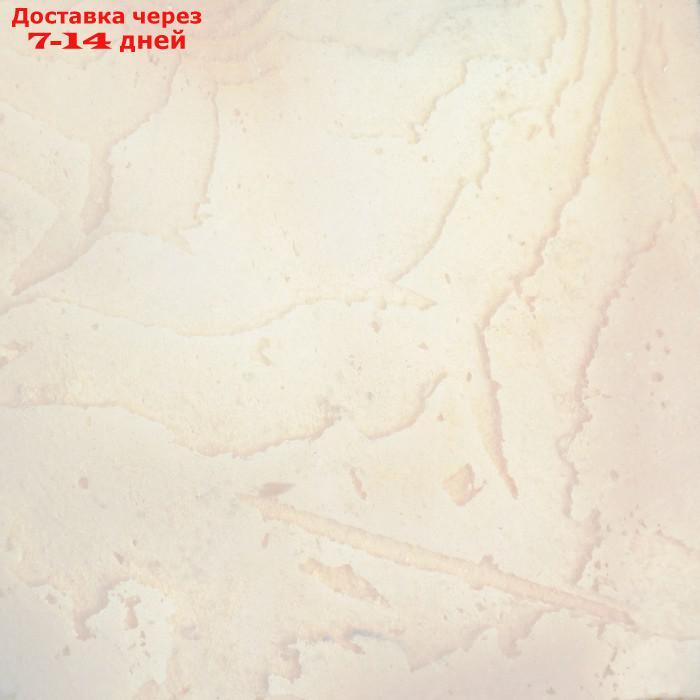 Панцирь каракатицы для птиц 12 см, 19 х 11,5 см, белый - фото 2 - id-p227011343