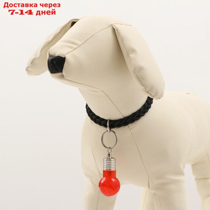 Маячок световой на ошейник для больших и средних собак, красный - фото 4 - id-p227012902