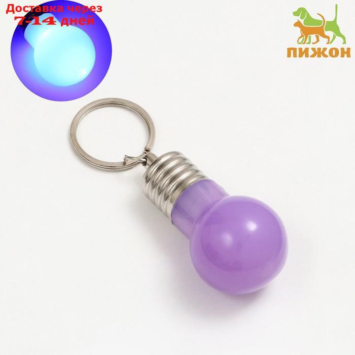 Маячок световой на ошейник для больших и средних собак, фиолетовый - фото 1 - id-p227012910