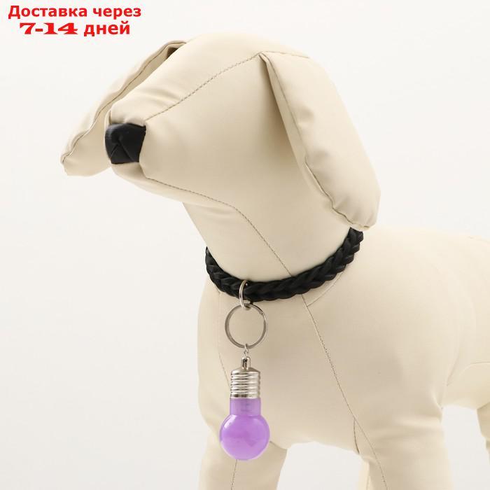 Маячок световой на ошейник для больших и средних собак, фиолетовый - фото 4 - id-p227012910