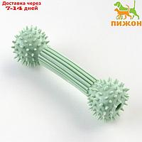 Игрушка для лакомств и сухого корма "Гантель", TPR, массажная, 14 х 4 см, зелёная