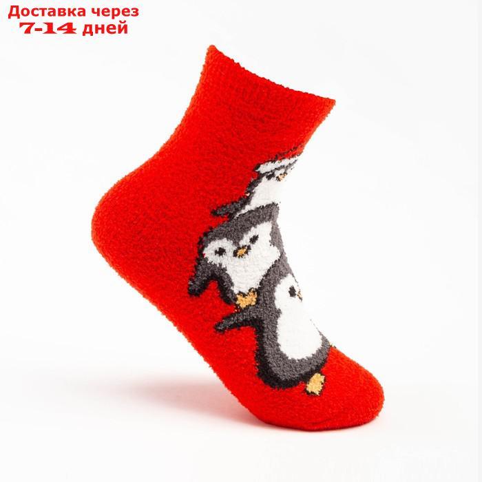 Носки женские махровые "Пингвинята", цвет красный, размер 36-40 - фото 1 - id-p227016164