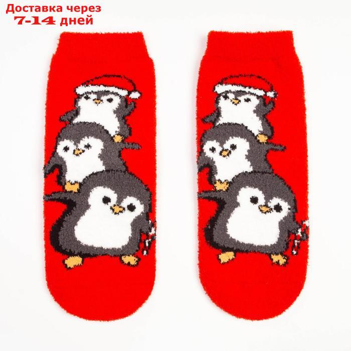 Носки женские махровые "Пингвинята", цвет красный, размер 36-40 - фото 2 - id-p227016164