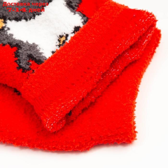 Носки женские махровые "Пингвинята", цвет красный, размер 36-40 - фото 4 - id-p227016164