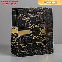 Пакет ламинированный вертикальный Gold present, ML 23 × 27 × 11,5 см