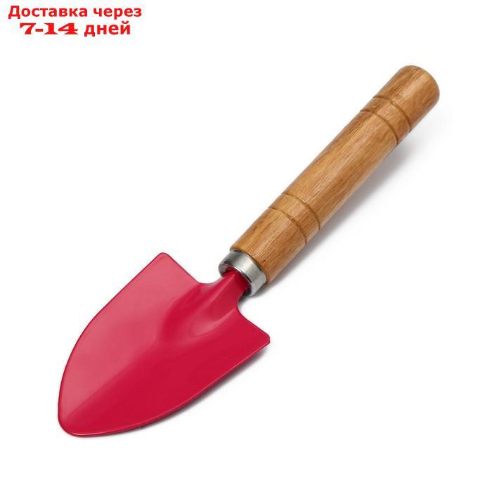 Набор садового инструмента, 3 предмета: рыхлитель, совок, грабли, длина 20 см - фото 3 - id-p226995201