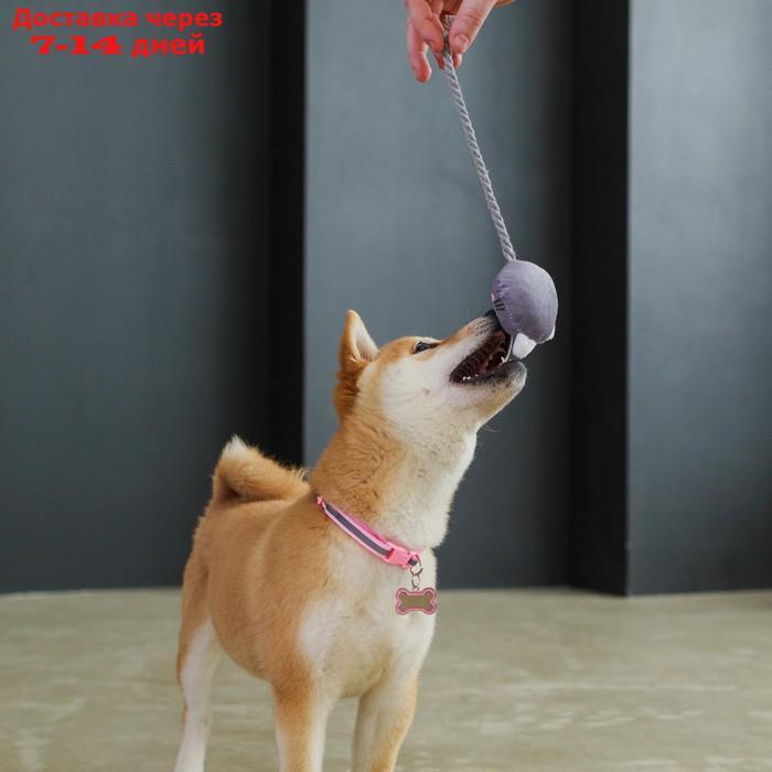 Игрушка для собак "Котик", с канатом и пищалкой - фото 4 - id-p227021242