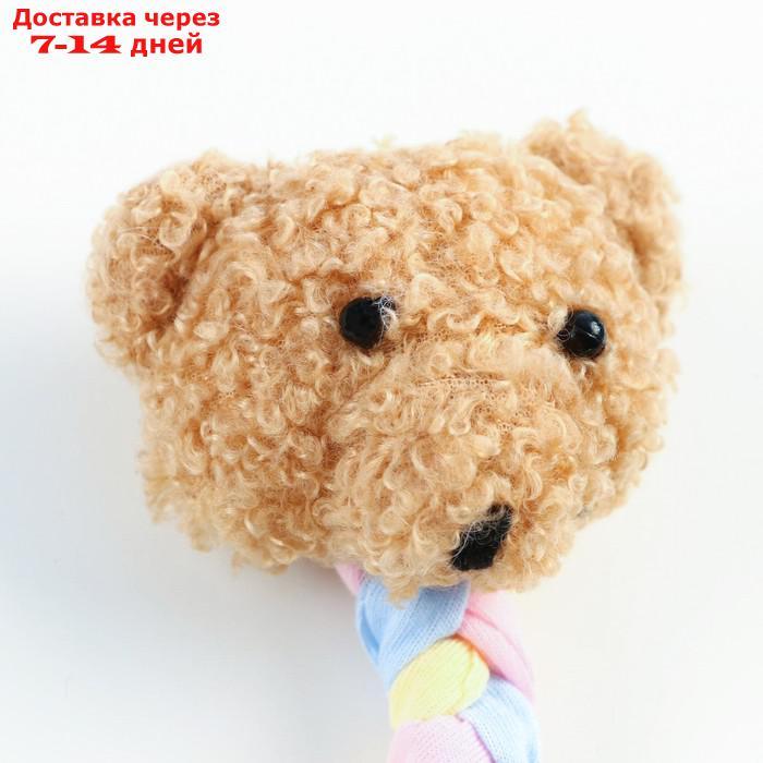 Игрушка с Погремушкой мягкая для собак "Медведь" + TPR Звезда, 15 см - фото 3 - id-p227001383