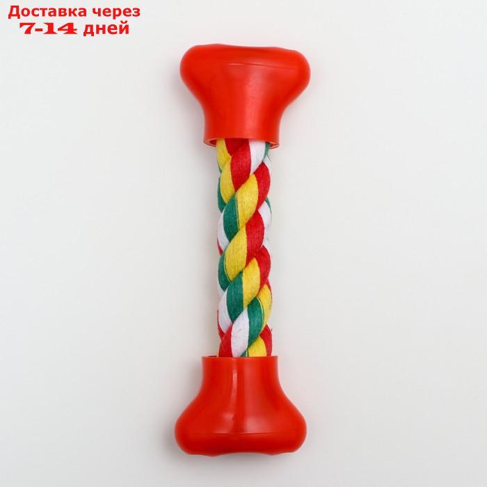 Игрушка канатная "Часы" малая, 60 г, до 16 см, белая/красная/зелёная/жёлтая - фото 2 - id-p227007632