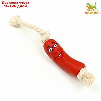 Игрушка "Сосиска в очках на верёвке" для собак, 14 см