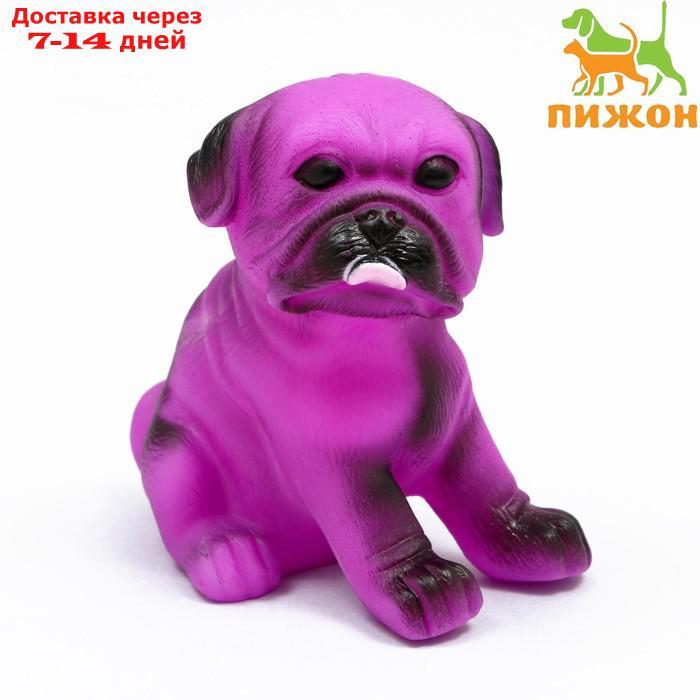 Игрушка пищащая "Маленький друг" для собак, бульдог, 9 см, розовая - фото 1 - id-p226995570