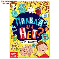 Обучающая книга "Правда или нет? Тело человека", 44 стр.