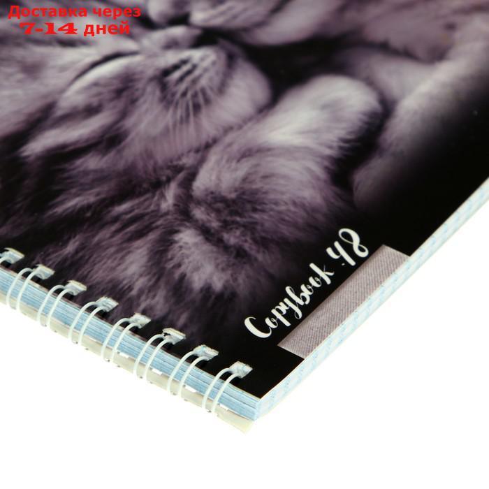 Тетрадь А5+, 48 листов в клетку, на гребне "Котята мур-мур", обложка мелованный картон, глянцевая лаинация, - фото 4 - id-p227005390