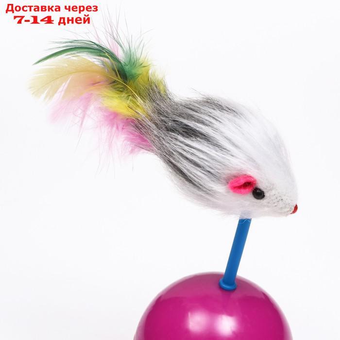 Мышь-неваляшка из натурального меха на шаре, 11 х 5 см фиолетовый/оранжевый - фото 5 - id-p227019801
