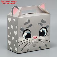 Коробка складная "Котик", 23 х 20 х 10 см