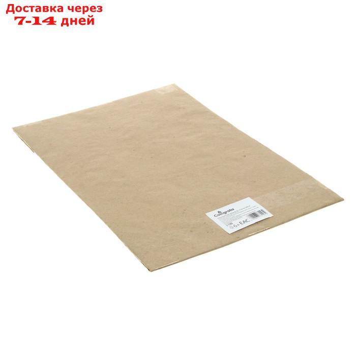Бумага для черчения А2 Calligrata, 10 листов, 420 х 594 мм, без рамки, блок 200 г/м2 - фото 3 - id-p226992933