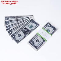 Набор сувенирных денег "1 доллар"