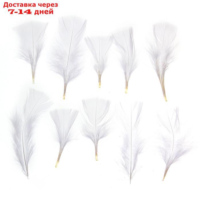 Набор перьев для декора 10 шт., размер 1 шт: 10 × 4 см, цвет белый - фото 1 - id-p226995728