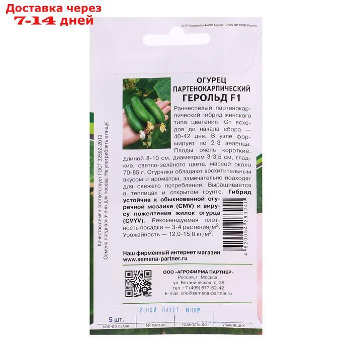 Семена Огурец партенокарпический "Герольд", F1, 5 шт - фото 2 - id-p227029333