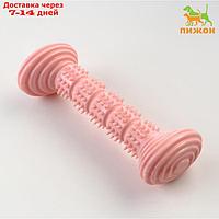 Игрушка для собак "Палка", TPR, массажная, 14,2 х 5,2 см, розовая