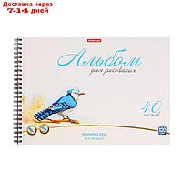 Альбом для рисования А4, 40 листовнаспирали,ErichKrauseBirds,блок белизна 100%, плотность 120 г/м2,