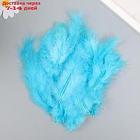 Набор перьев для творчества 30 шт (14-17 см), голубой