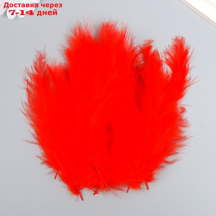 Набор перьев для творчества 30 шт (14-17 см), красный - фото 1 - id-p227033390