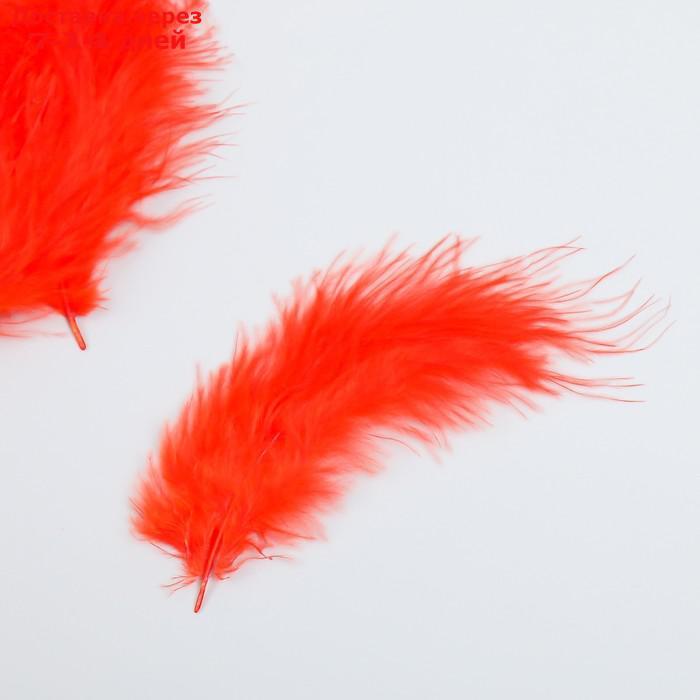 Набор перьев для творчества 30 шт (14-17 см), красный - фото 2 - id-p227033390