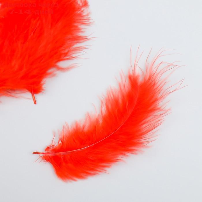Набор перьев для творчества 30 шт (14-17 см), красный - фото 3 - id-p227033390