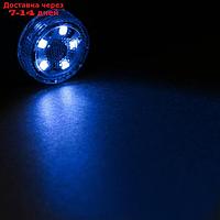 Светильник светодиодный Torso, автомобильный, 5 LED, d 3 см, синий
