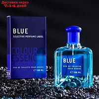 Туалетная вода мужская "TODAY PARFUM", "Colour essence. Blue", 100 мл