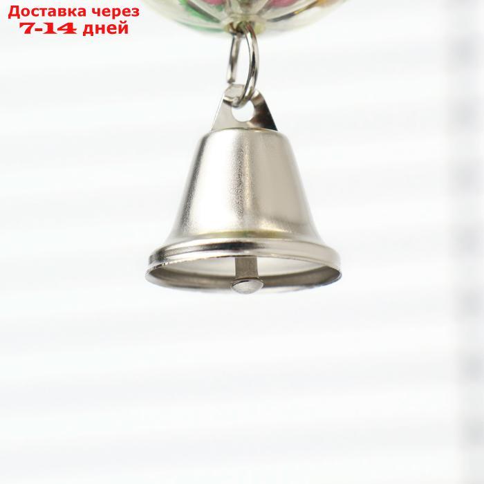Игрушка для птиц "Шарик на цепочке с колокольчиком", d шара 4.4 см, микс цветов - фото 5 - id-p227033420