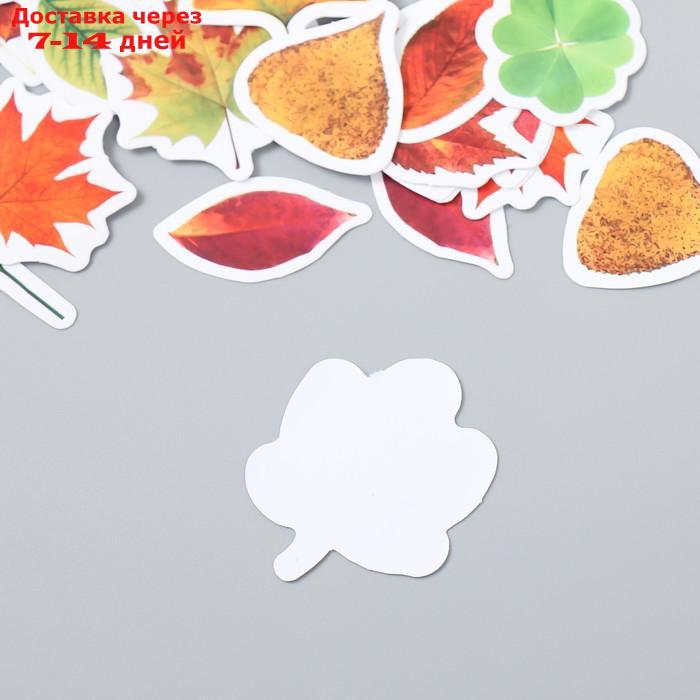 Наклейки для творчества "Осенние листья" набор 46 шт 6,4х4,4х1,1 см - фото 3 - id-p227031472