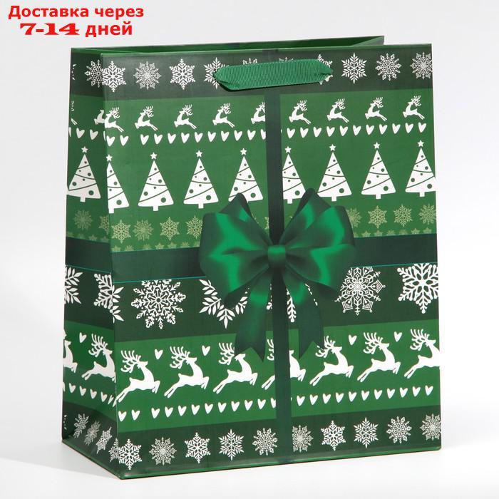 Пакет ламинированный вертикальный "Новогодний подарок", ML 27 × 23 × 11,5 см - фото 1 - id-p227002520