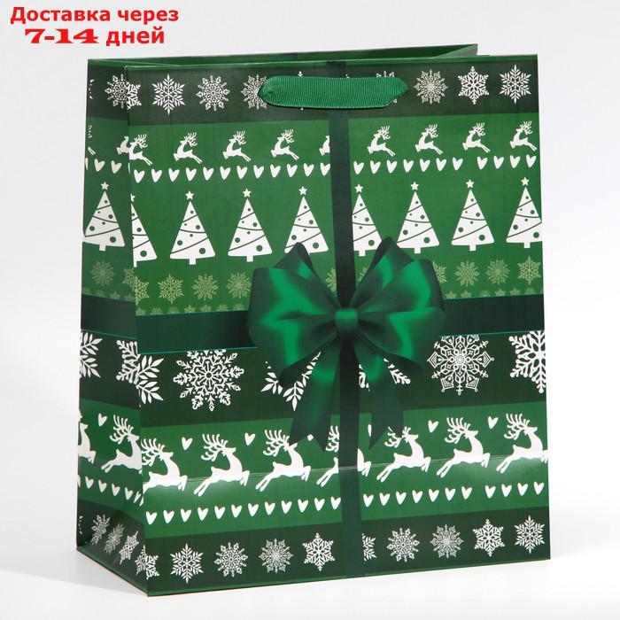 Пакет ламинированный вертикальный "Новогодний подарок", ML 27 × 23 × 11,5 см - фото 3 - id-p227002520