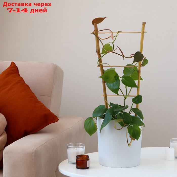 Шпалера, 45 × 20 × 1 см, бамбук, "Одинарная", Greengo - фото 3 - id-p227029538
