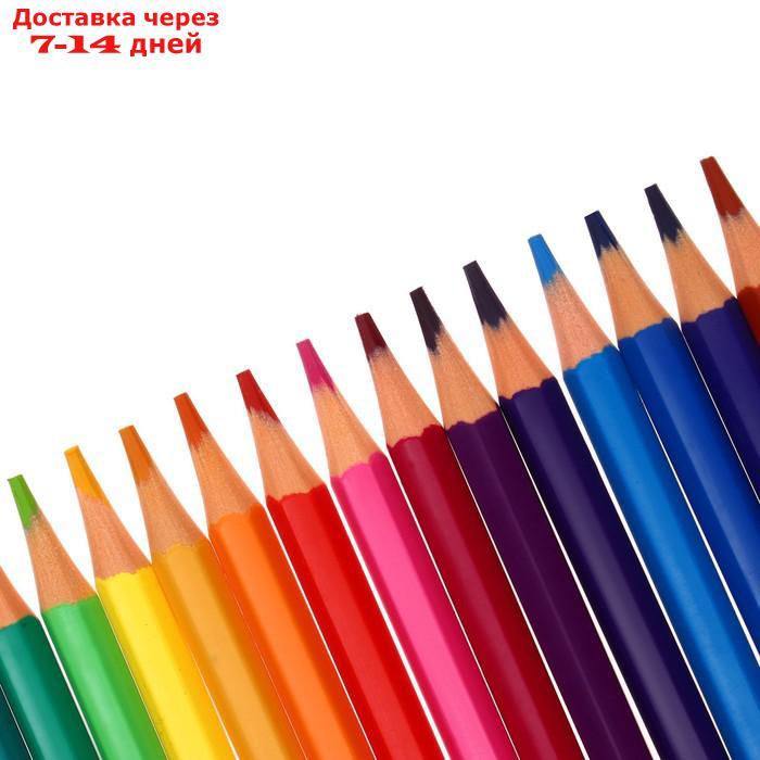Карандаши 18 цветов ErichKrause ArtBerry премиум, пластик, шестигранные, 3.0 мм грифель, с ластиком, - фото 5 - id-p227015528