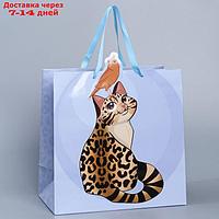 Пакет подарочный Kitty, 30 × 30 × 15 см