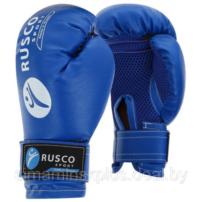 Набор боксёрский для начинающих RuscoSport: мешок, перчатки, 6 унций, цвет чёрный/синий - фото 2 - id-p227172665