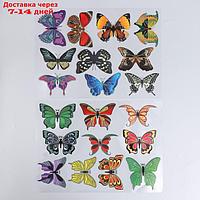 Наклейка интерьерная цветная "Музей бабочек" 25х35 см МИКС