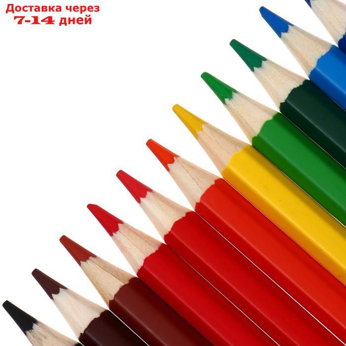Карандаши акварельные 12 цветов, Гамма "Классические", с кистью, шестигранные, заточенные, картонная упаковка - фото 3 - id-p227049578