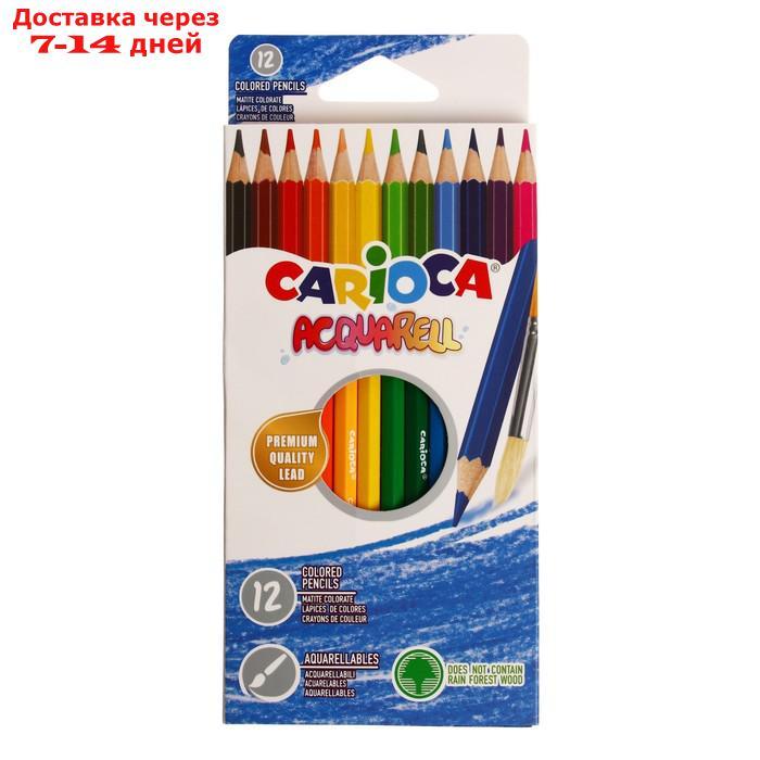 Карандаши акварельные 12 цветов Carioca Acquarell, 3.3 мм, шестигранные матовые, картонная коробка - фото 2 - id-p227049620